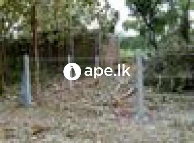 à¶‰à¶©à¶¸à¶šà·Š - à¶…à¶±à·”à¶»à·à¶°à¶´à·”à¶»